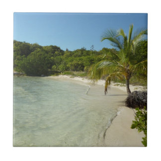 Azulejo Playa Antigua Hermoso Paisaje Tropical