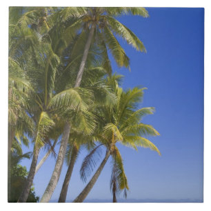 Azulejo Playa bordeada de palmeras Islas Cook 3