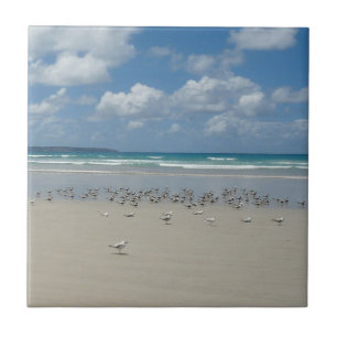 Azulejo Playa con gaviotas