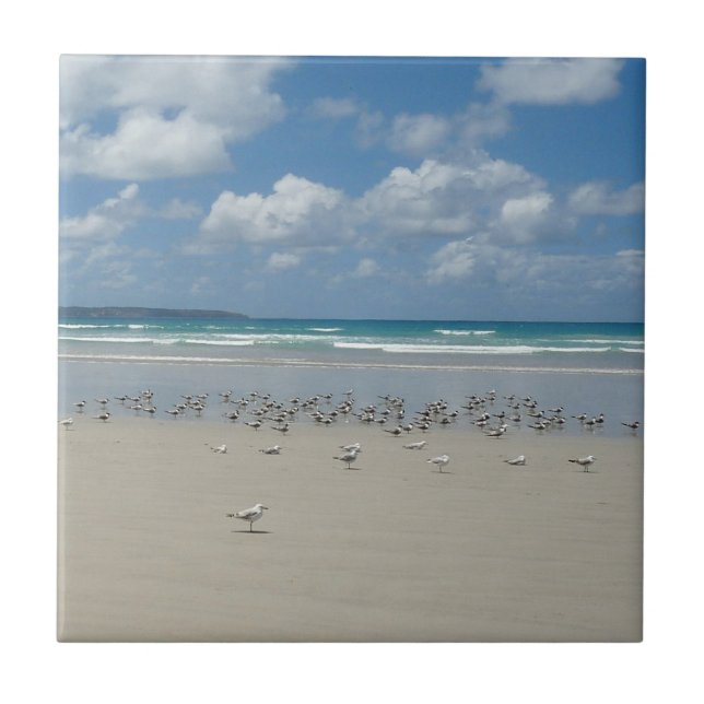 Azulejo Playa con gaviotas (Frente)