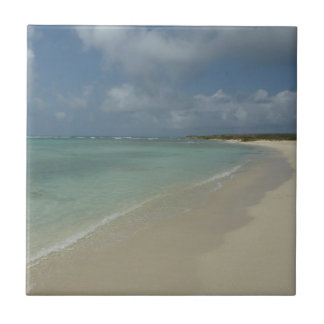 Azulejo Playa de Aruba II Bonita Escena Natural