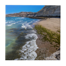 Azulejo Playa de Puerto Piramides, Argentina