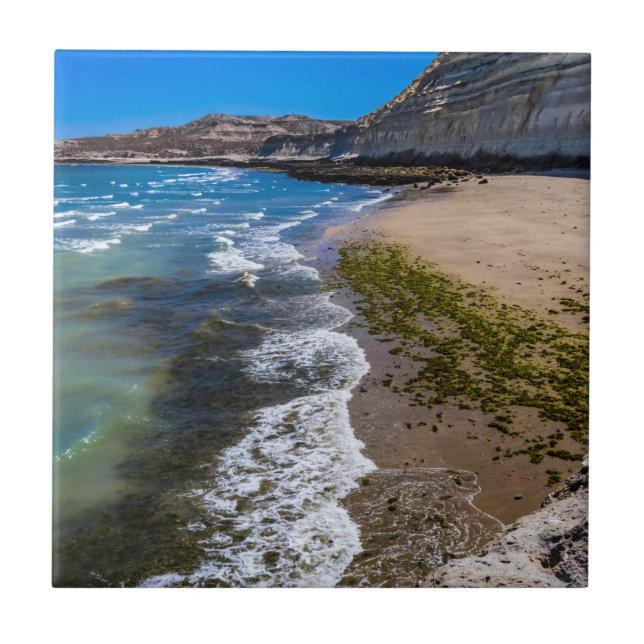 Azulejo Playa de Puerto Piramides, Argentina (Frente)