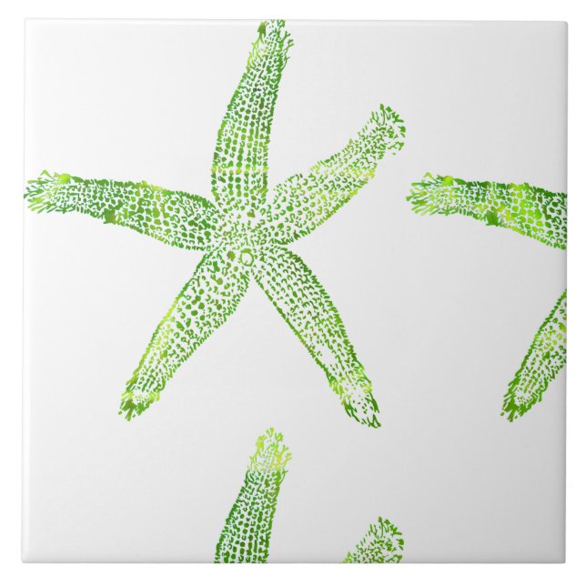 Azulejo Playa de Starfish Playa gris verde blanco grande (Frente)