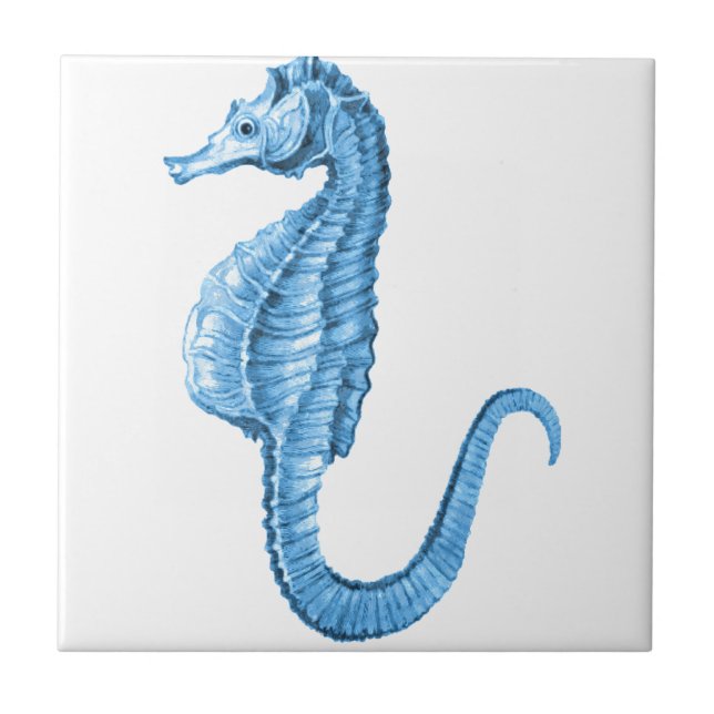 Azulejo Playa náutica costera del océano del seahorse azul (Frente)