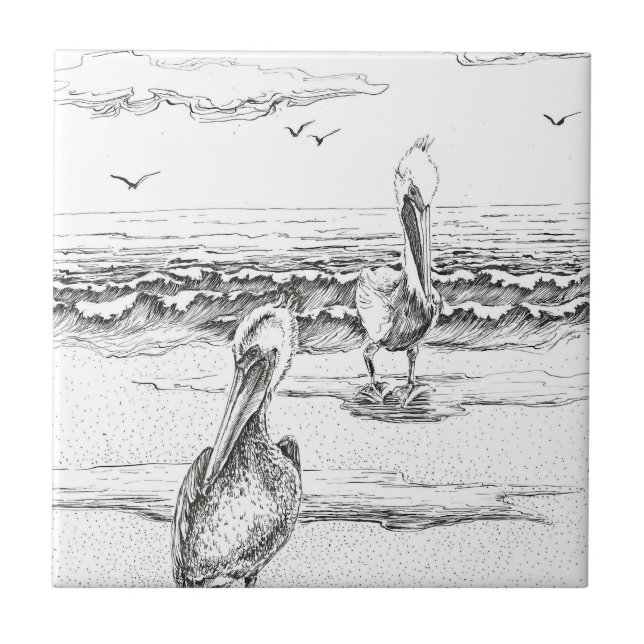 Azulejo Playa Pelican Woorim, Australia, Queensland (Frente)
