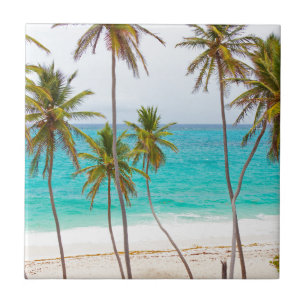 Azulejo Playa tropical con la palmera