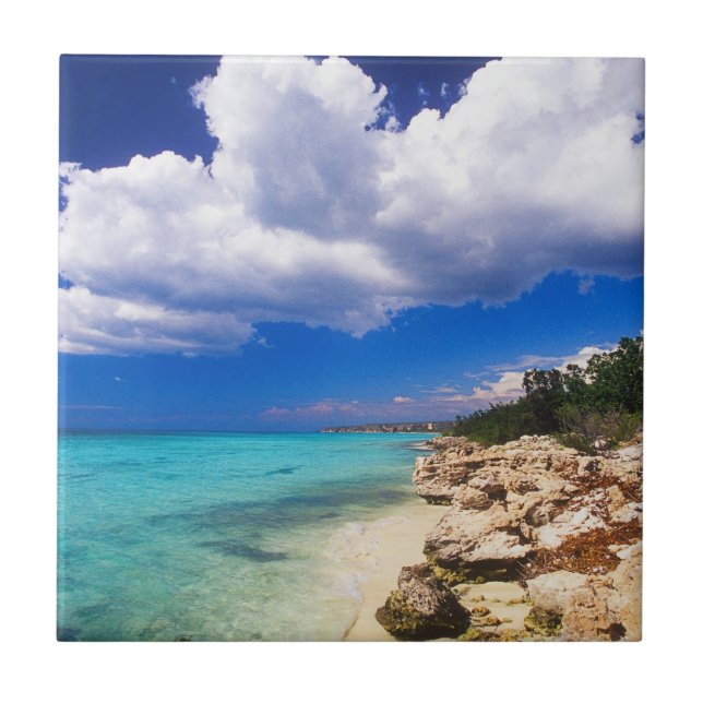 Azulejo Playas, Barahona, República Dominicana (Frente)