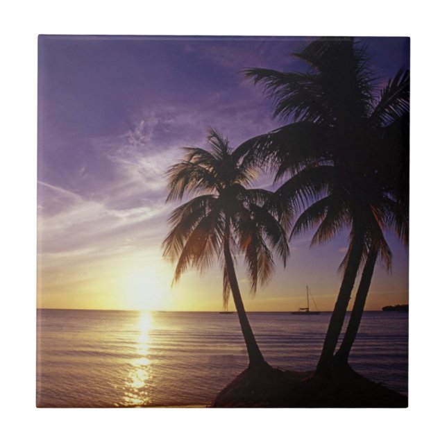 Azulejo Playas en Negril, Jamaica (Frente)