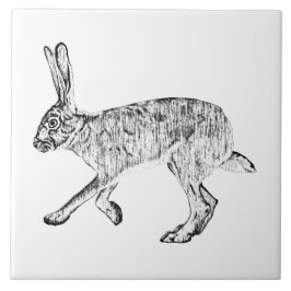 Azulejo Pluma de Jackrabbit del Suroeste y arte de tinta