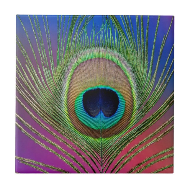 Azulejo Pluma de la cola de un pavo real (Frente)
