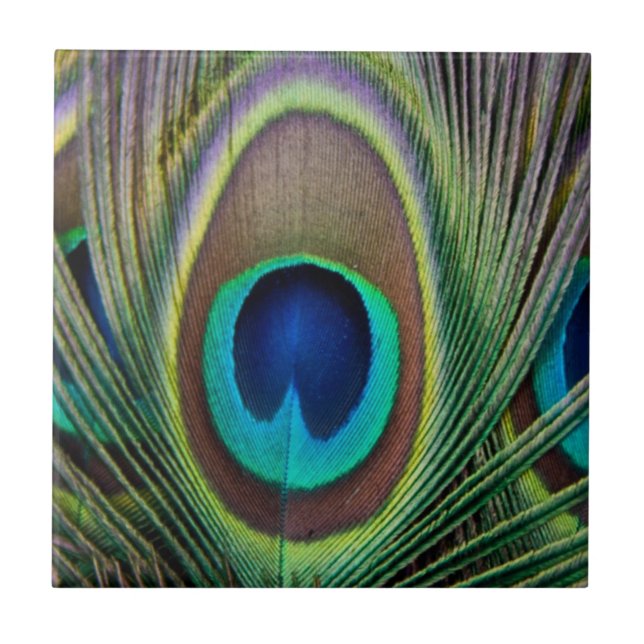 Azulejo Pluma del pavo real (Frente)