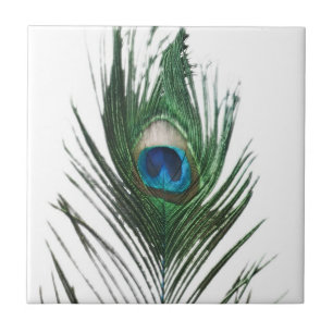 Azulejo Pluma desactivada Trivet del pavo real