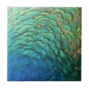 Azulejo Plumas de Pavo Real I Diseño de Naturaleza Abstrac