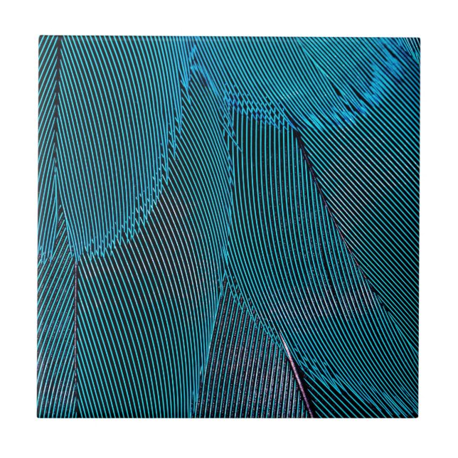Azulejo plumas eléctricas (Frente)