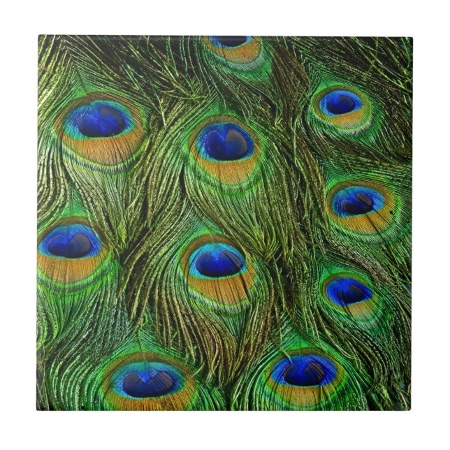 Azulejo Plumas Hermosas de Pavo Real (Frente)