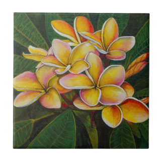 Azulejo Plumeria del arco iris