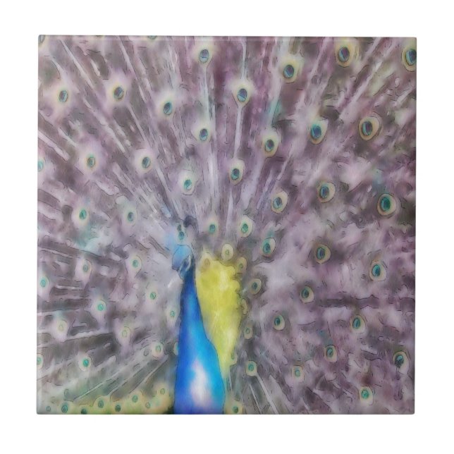 Azulejo Plumín de acoplamiento de pavo real fino (Frente)