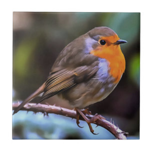 Azulejo Plump Robin Colgado En Una Rama De Arte De Vida Si