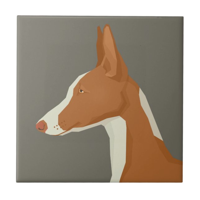 Azulejo Podenco ibicenco (Frente)