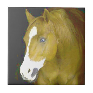 Azulejo poder y gracia