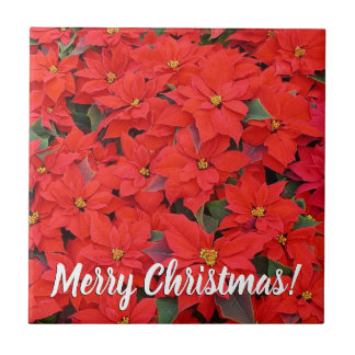 Azulejo Poinsettias rojas Navidad la foto floral navideña
