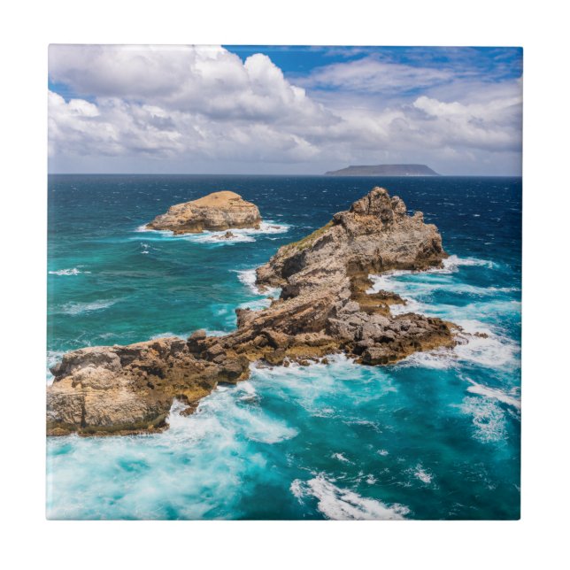 Azulejo Pointe des Chateaux, Grande-Terre, Guadalupe #2 (Frente)