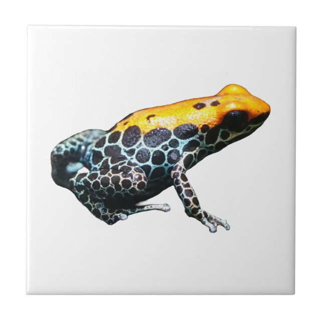 Azulejo Poison Dart Frog (Frente)