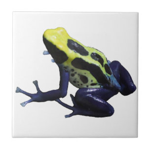 Azulejo Poison Dart Frog