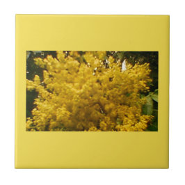 Azulejo Polen en crecimiento