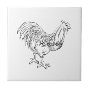 Azulejo Pollo en pluma y tinta