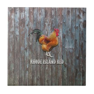 Azulejo Pollo rojo de Rhode Island