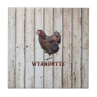 Azulejo Pollo Wyandotte