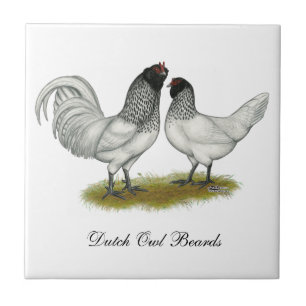 Azulejo Pollos de barba de búho de los Países Bajos