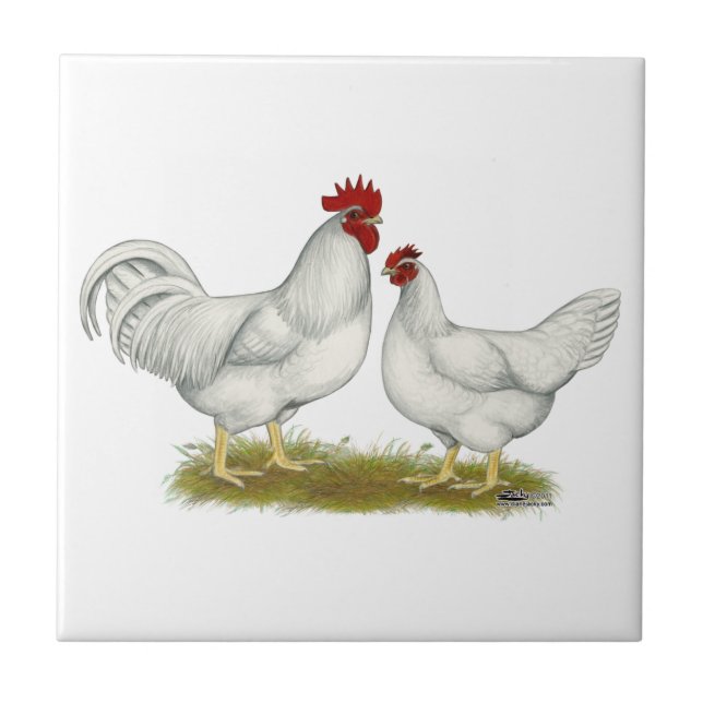 Azulejo Pollos de Lamona (Frente)