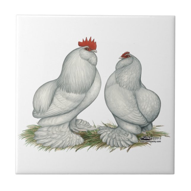 Azulejo Pollos del d'Everberg de Barbu (Frente)