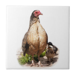 Azulejo Pollos y pollos para bebés