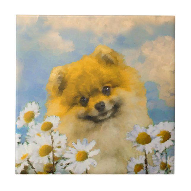 Azulejo Pomerania en pintura de Daisies - Arte de perro or (Frente)