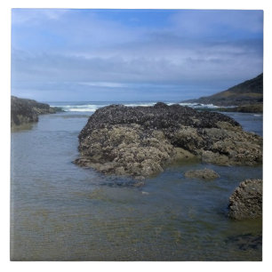 Azulejo Pools de marea en Bob Creek, OR