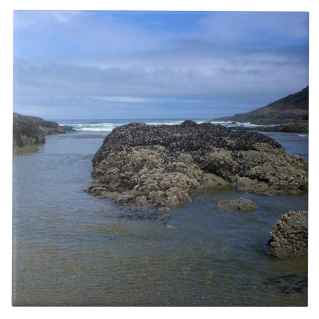 Azulejo Pools de marea en Bob Creek, OR (Frente)