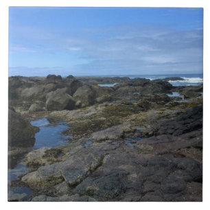 Azulejo Pools de marea en Bob Creek, OR