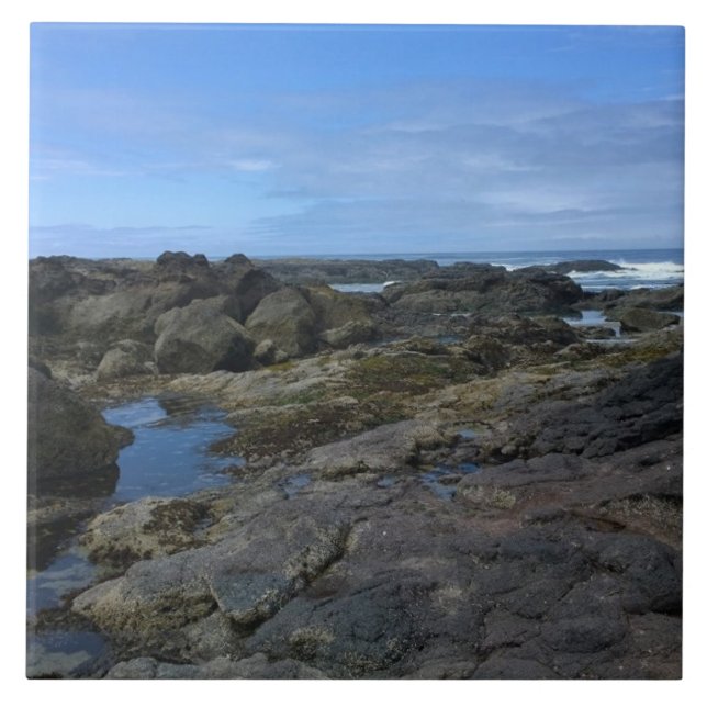 Azulejo Pools de marea en Bob Creek, OR (Frente)