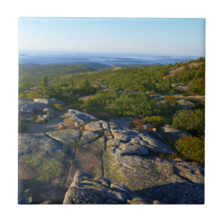 Azulejo Por la mañana sobre la montaña Cadillac en Acadia