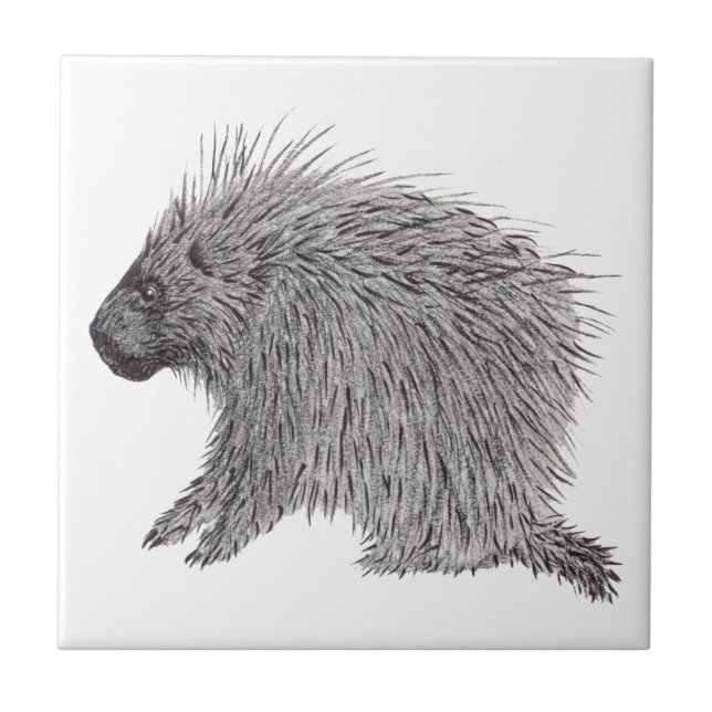 Azulejo Porcupina (Frente)