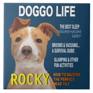 Azulejo Portada de la revista Pitbull Parody