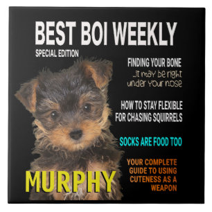 Azulejo Portada de la revista Yorkshire Terrier Parody