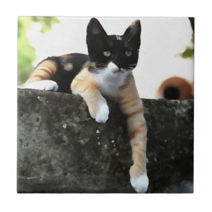 Azulejo Portait de la Mascota de gato Tricolor Just Chilli