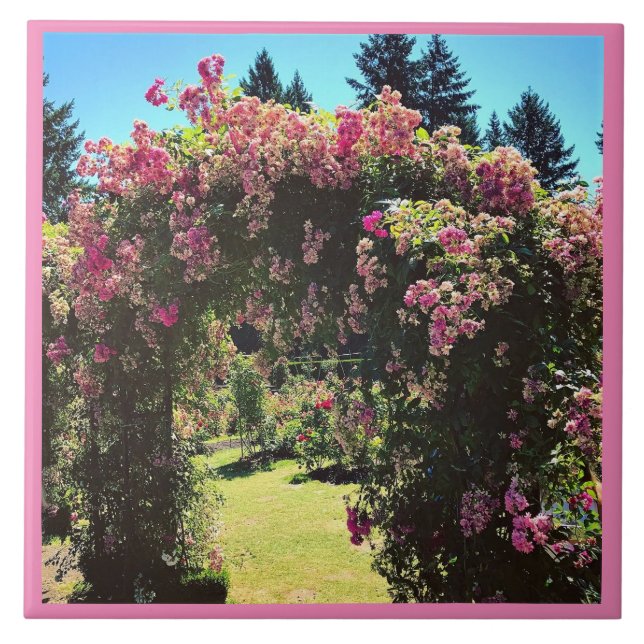 Azulejo Portland Rosa Garden, OR (Frente)