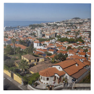 Azulejo Portugal, Isla de Madeira, Funchal. Camión de cab