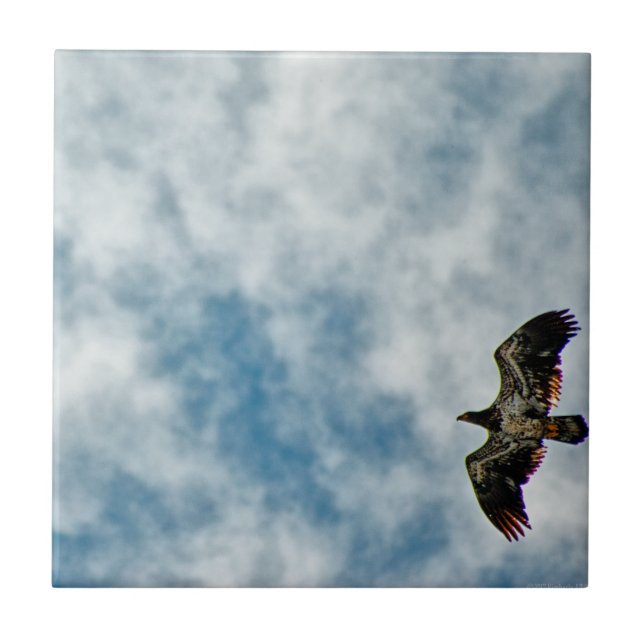 Azulejo Posibilidades futuras (Frente)